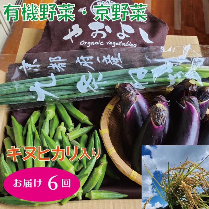 亀岡産 キヌヒカリ 2kg ＆ 野菜詰め合わせ合計6回お届け　有機野菜・京野菜の『京都やおよし』オーガニック 有機JAS 栽培期間農薬不使用 減農薬 野菜 米 ※着日指定不可 ※北海道・沖縄・離島への配送不可