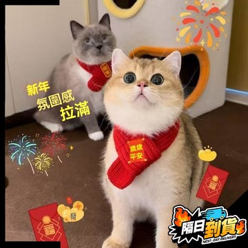 【現貨⚡ 隔日達】寵物圍巾 貓咪狗狗圍脖 新年配飾 紅色裝飾 毛線針織 保暖 喜慶圍巾圍脖 寵物圍脖
