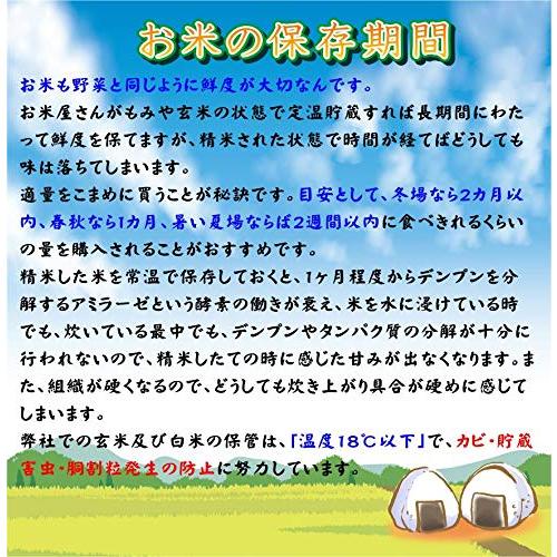 無洗米！令和４年産福島県中通り産コシヒカリ (5kg)