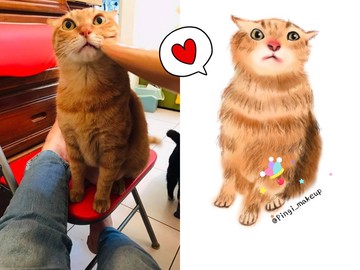 電繪-客製寵物貓狗畫像委託肖像畫 -毛孩紀念似顏繪(貓咪喵/三花