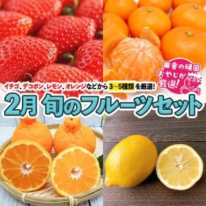 ふるさと納税 旬のフルーツセット 2月号 田舎の頑固おやじが厳選！ 茨城県つくばみらい市