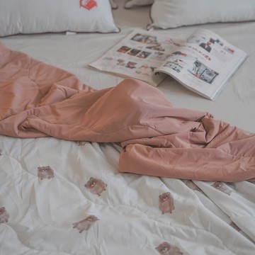 冰鎮被  涼感涼被  降溫有感 涼感值0.23  六款可選  棉床本舖