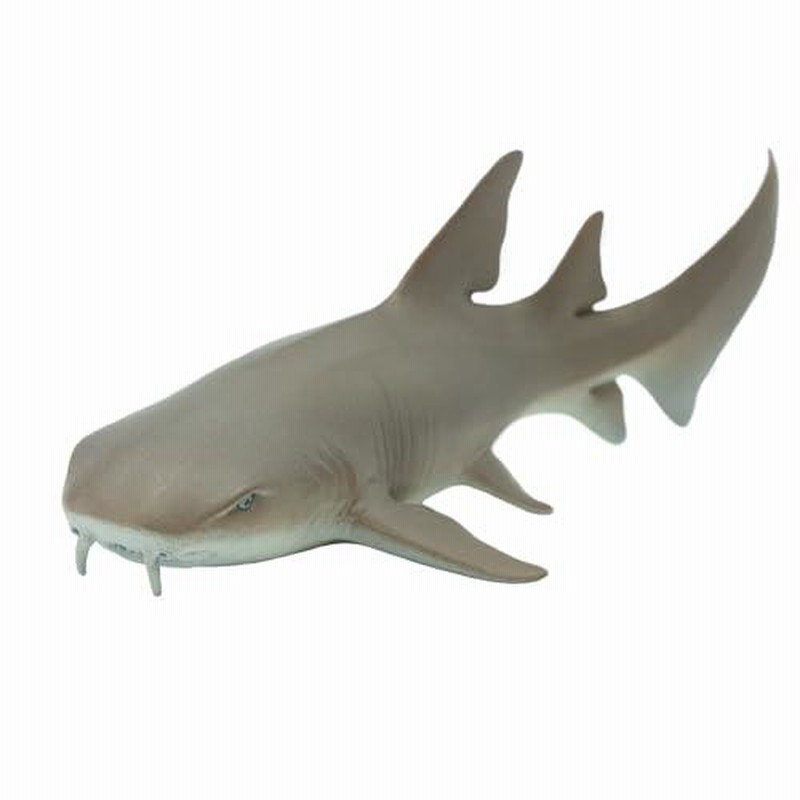 Safari  Wild Safari SeaLife ( ワイルド サファリ シーライフ ) ジンベエザメ 422129 Amazon | Safari Wild Safari SeaLife (ワイルド サファリ シー