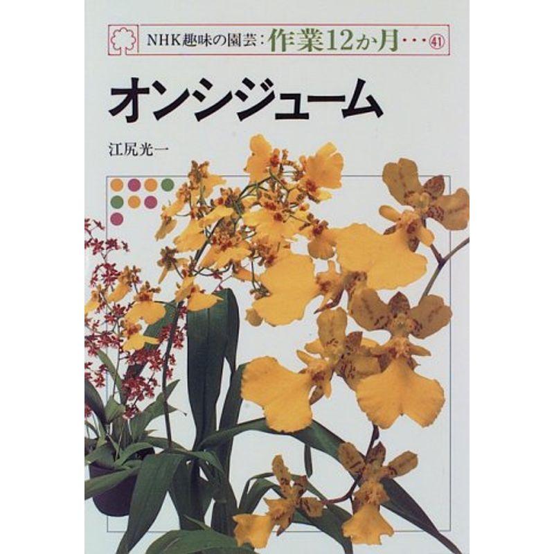 オンシジューム (NHK趣味の園芸・作業12か月)