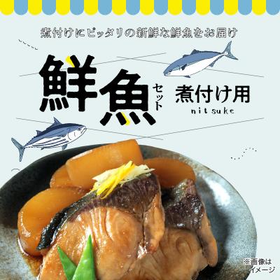 ふるさと納税 天草市 煮付け用　鮮魚セット_S121-002A