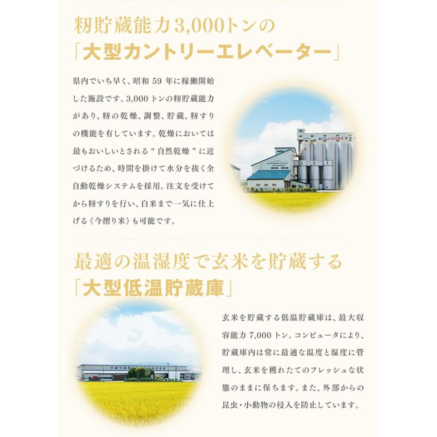 ＼山形県産米100％使用／山形県産ブレンド米20kg（5ｋｇ×4）