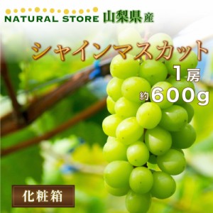 [最短順次発送]  シャインマスカット 600g 1房 山梨県産 果実 笛吹 夏ギフト  夏ギフト 御中元 お中元