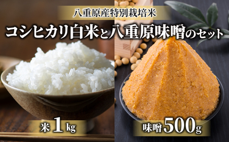 八重原産特別栽培米（減農薬・減化学肥料栽培）コシヒカリ（白米）１kgと信州味噌「八重原味噌」５００ｇのセット