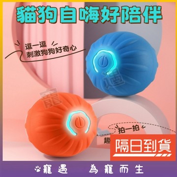 台灣出貨💕貓玩具 逗貓 逗貓玩具 自動逗貓 逗貓神器 自動逗貓球 逗貓球 貓玩具球 貓球 貓咪球 貓的玩具 智能逗貓球