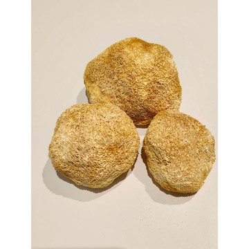 乾燥猴頭菇 猴頭菇 檢驗合格 300公克