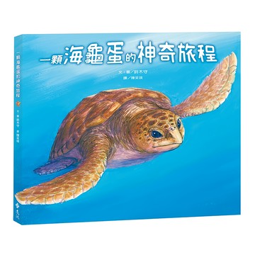 一顆海龜蛋的神奇旅程