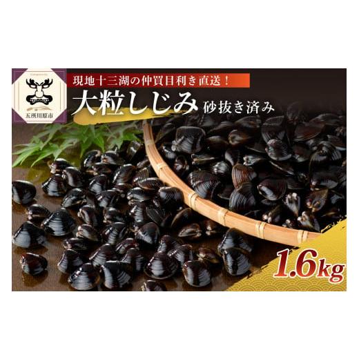 ふるさと納税 青森県 五所川原市 津軽十三湖産 大粒しじみ冷凍1.6kg （冷凍・砂抜き済）