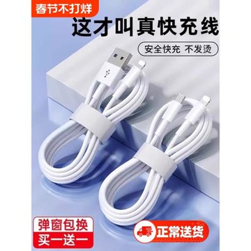 馴龍師 數據線適用于iPhone14蘋果13快充11promax手機12充電器7p 6se加長8plus閃充PD20W充電線iPad平板2米XR