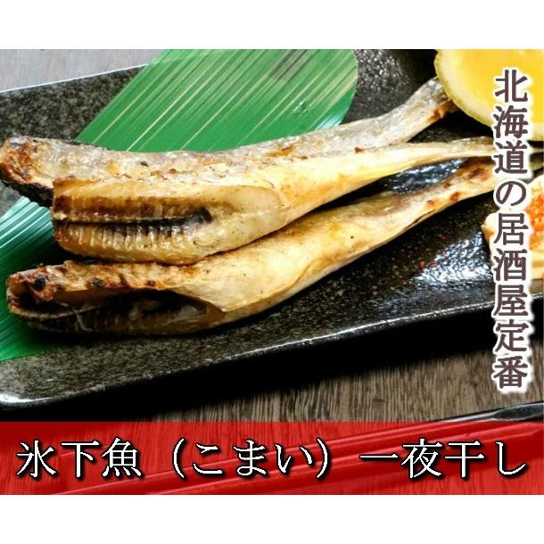 こまい 一夜干し 生干し 北海道産 2kg 送料無料 氷下魚（こまい） 別途送料が発生する地域あり