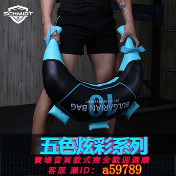 【全網低價 可打統編】SCHMIDT 健身訓練彩色牛角包體能訓練保加利亞訓練袋體能負重訓練