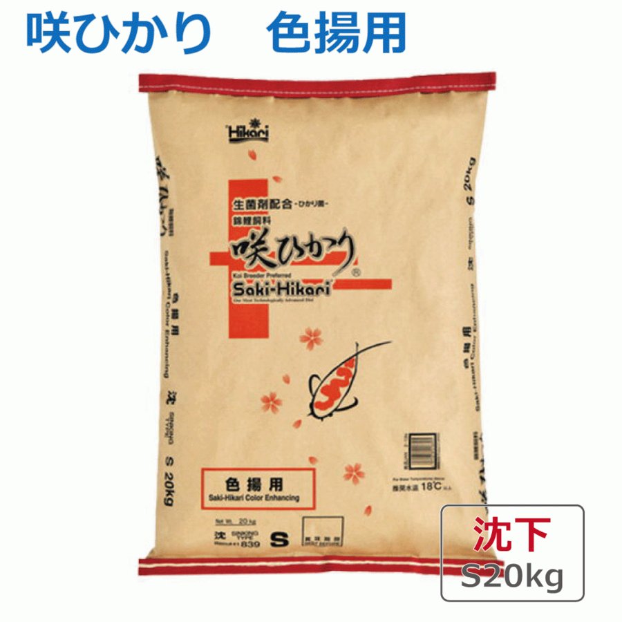 送料無料】キョーリン 咲ひかり 増体 Sサイズ(沈下) 1kg 錦鯉・金魚 