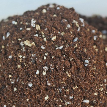 【荳荳多肉】【培育泥炭土(內含微量蚓糞土)】送禮│多肉植物