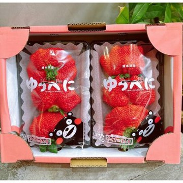 日本 JA 熊本菊池 熊紅 小糖蜜草莓｜日本草莓禮盒