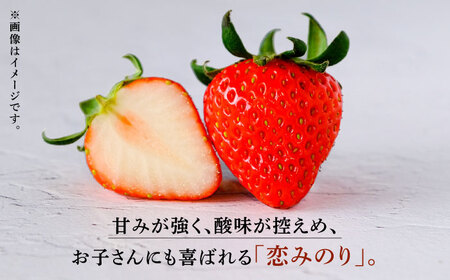 高級 冷凍  いちご 加工用 約1.5kg 果物 フルーツ イチゴ いちご 苺 熊本県 特産品 オーガニック 有機 恋みのり 冷凍 いちご 冷凍いちご 定期 [ZBB016]