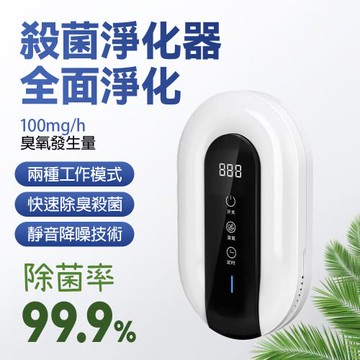 空氣淨化器 移動式負離子清淨機 100mg/h活氧 淨化抑菌 靜音降噪 家用車用衛生間寵物房