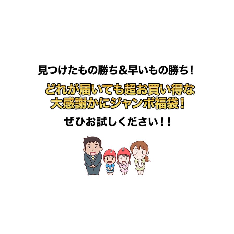 かに カニ 蟹 ズワイガニ 生ズワイガニ 福袋 大感謝かにジャンボ福袋 25,200円〜13,800円の生ずわいがに5種からお届け