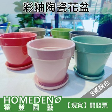 【隔日到貨】彩釉陶瓷花盆 3吋盆適用 花盆 花器 圓盆 多肉植物花盆 小花盆 陶瓷盆 小花器【HOMEDEN霍登園藝】