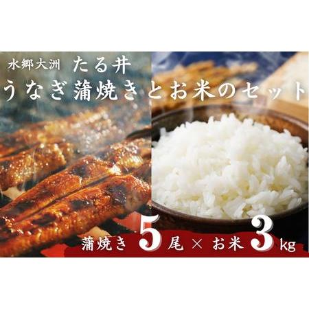 ふるさと納税 水郷大洲たる井の「国産うなぎ蒲焼き5尾」と大洲産のお米 愛媛県大洲市