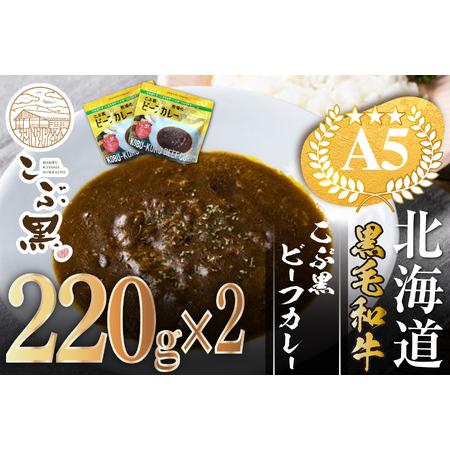 ふるさと納税 北海道産 黒毛和牛 こぶ黒 A5 ビーフカレー 220g × 2パック ＜LC＞ 北海道新ひだか町