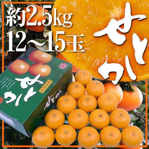 佐賀産 ”せとか” 12〜15玉 約2.5kg 化粧箱入り 送料無料