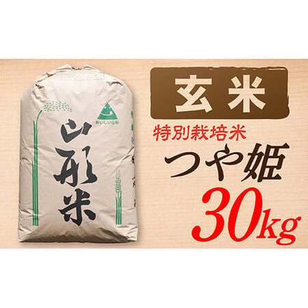 ふるさと納税 山形県産つや姫30kg 山形県最上町