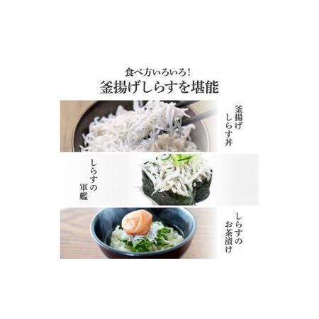 ふるさと納税 訳あり高知県産釜揚げしらす　50g×17パック（小分け） 高知県芸西村