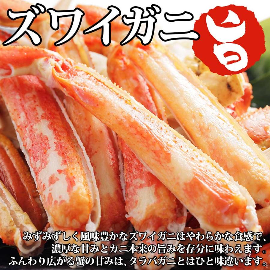 ふるさと納税 弟子屈町 ズワイガニ足 800g  松前漬・ホタテ・キムチ 蟹ハサミ・ガイド付 北海道 弟子屈町 2040