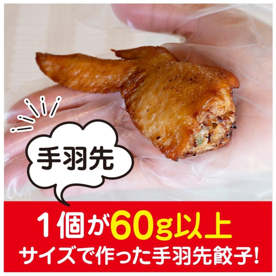 手羽先餃子　5本パック　プレーン味