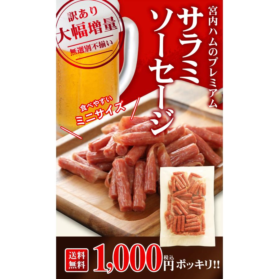 サラミ 訳あり 1000円 ポッキリ 宮内ハム 訳あり プレミアムサラミ 送料無料 サラミソーセージ おつまみ珍味 サラミソーセージとは サラミ高級