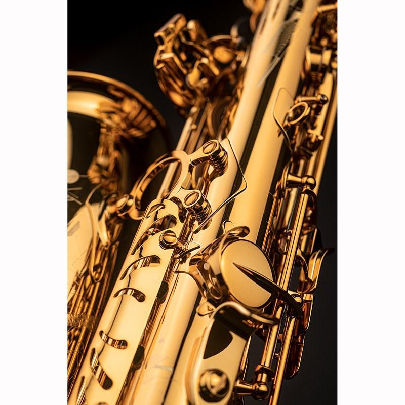 Selmer Paris アルトサックス セルマー Signature シグネチャー DARK SL