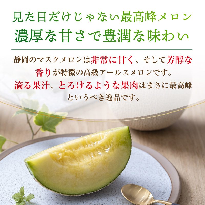  アローマメロン アールスメロン 各1玉 計2玉 静岡県産ほか メロン マスクメロン 夏ギフト 御中元 お中元 夏ギフト お中元 御中元