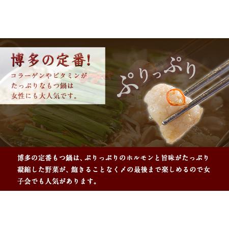 ふるさと納税 特撰博多もつ鍋  2〜3人前 300g 独楽《30日以内に順次出荷(土日祝除く)》 福岡県鞍手町