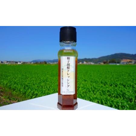 ふるさと納税 国産天然柚子を使用した 柚子胡椒 ドレッシング 200ml×4本 福岡県朝倉市