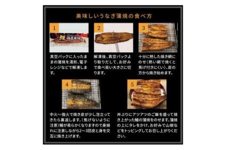 宮崎市佐土原産 備長炭手焼き 和匠うな丼の素10袋入り(計1kg) 山椒付き