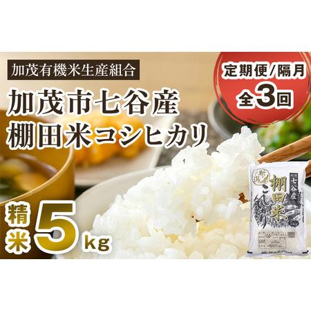 ふるさと納税 新潟県加茂市 七谷産 棚田米コシヒカリ 精米5kg 白米 加茂有機米生産組合 定期便 定期購入 定期 コシヒカ.. 新潟県加茂市