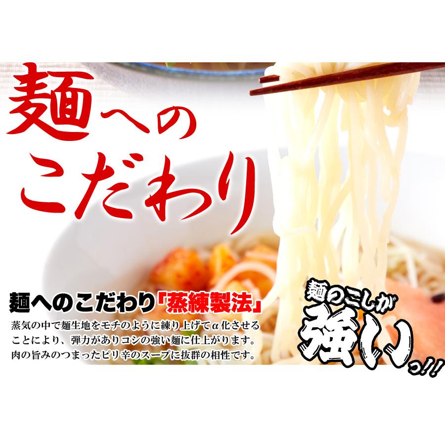 盛岡冷麺 4食 (100g×4袋) スープ付 ピリ辛 冷麺 簡単調理 常温 本場 名産品 老舗の味