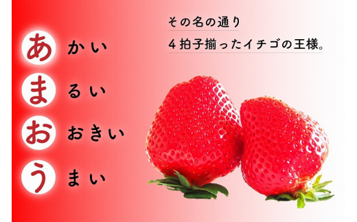 福岡県産 あまおう 合計3,360g (2月・3月・4月の3回 1,120g(280g×4パック))