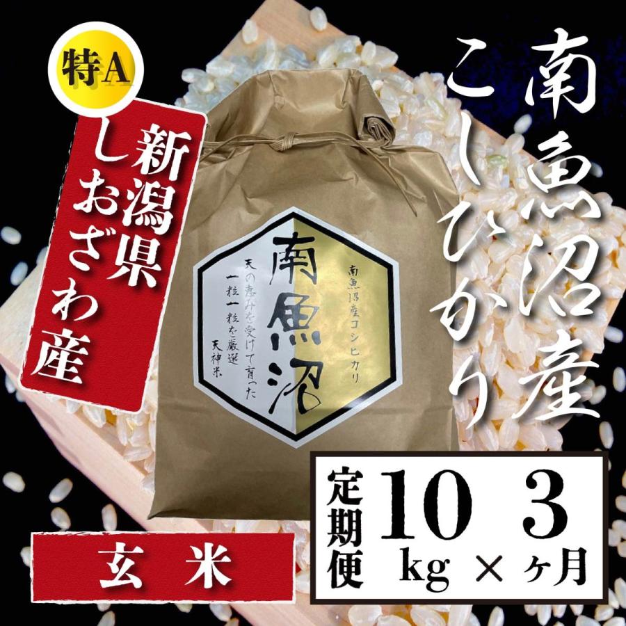  米  10kg 《定期便 3ヶ月》 新潟 南魚沼 塩沢産 コシヒカリ 生産者限定米 令和5年産