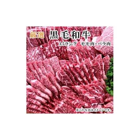 ふるさと納税  厳選国産黒毛和牛 A5 タレ漬け 焼肉用 モモ バラ 300g (国産牛 焼肉 黒毛和牛 焼肉 A5ランク焼肉 和牛 焼肉 モモ 焼肉 バラ 焼肉 焼肉30.. 京都府