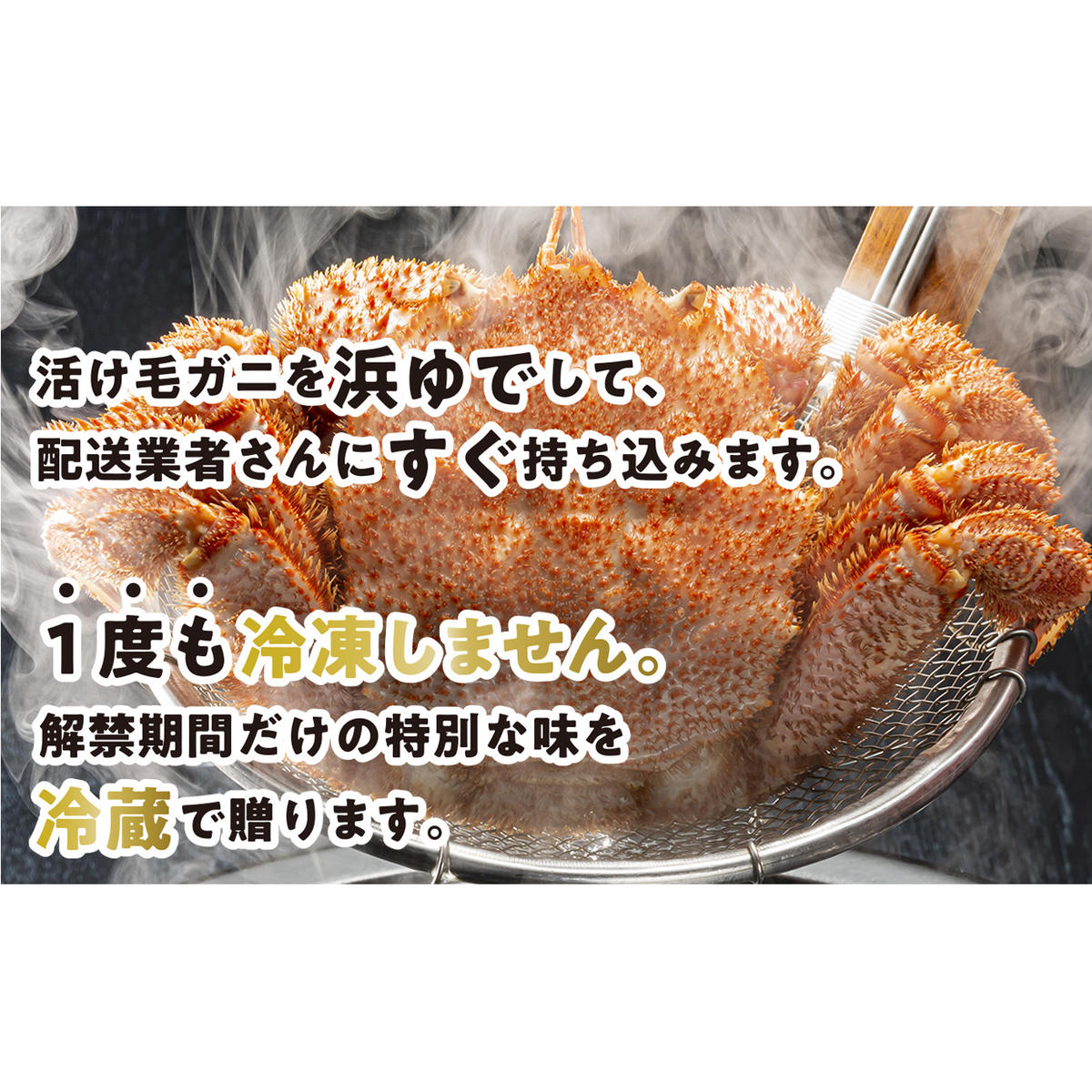 ＜2024年1月から順次発送＞ 北海道産 かに 浜ゆで 毛がに 2尾 計 600g 以上 ＜ 予約商品 ＞ 毛蟹 毛ガニ 北海道 冷蔵 毛蟹 毛ガニ けがに かに 蟹 カニ かに味噌 カニ味噌 新鮮