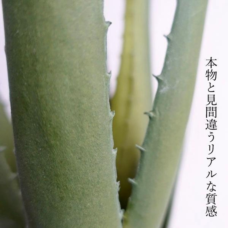 観葉植物 フェイクグリーン リアル 造花 アロエベラ 人工 おしゃれ ...