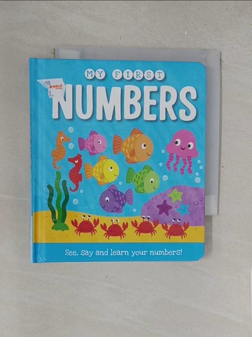 【書寶二手書T1／少年童書_TM4】First Numbers