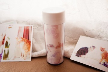 Lingo耿汶x楊可凡小白兔_藝人毛孩公益紀念環保瓶_桔梗Kiss貓。