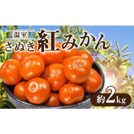 ふるさと納税 香川県 三豊市 M02-0056_温室さぬき紅みかん　約2kg