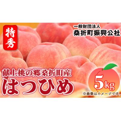 ふるさと納税 桑折町 もも(はつひめ)特秀5kg(12玉〜16玉)献上桃の郷桑折町産